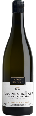 Chassagne-Montrachet 1er Cru Blanchot-Dessus