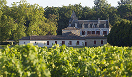 Château Olivier  : superbe Pessac-Léognac 2020 à un prix canon
